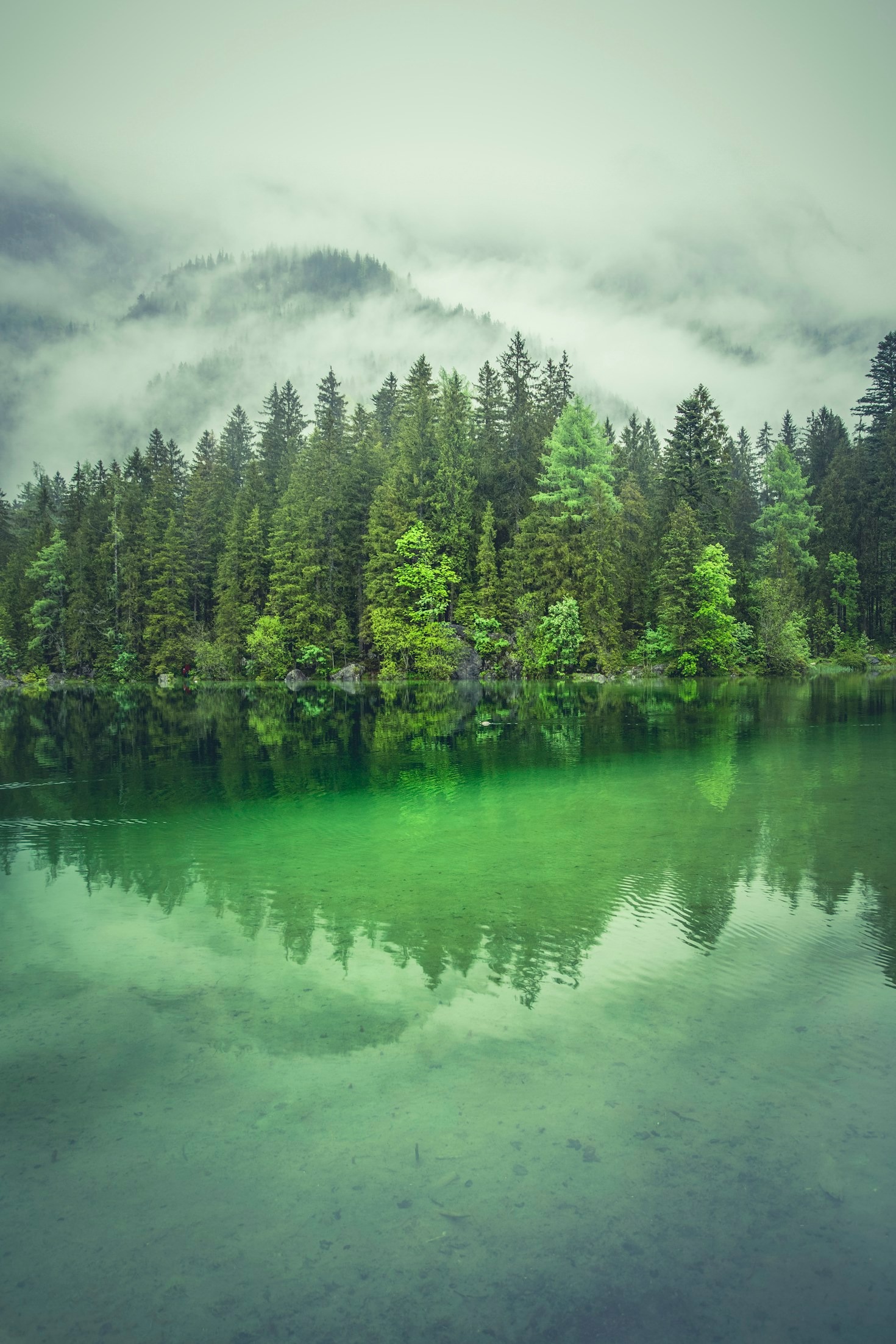5 Key Principles of Sustainable Land Use