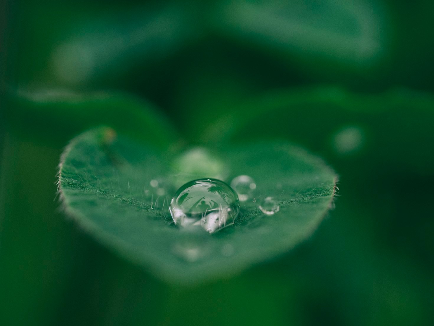Why Restoring Earth’s Health is Everyone’s Responsibility